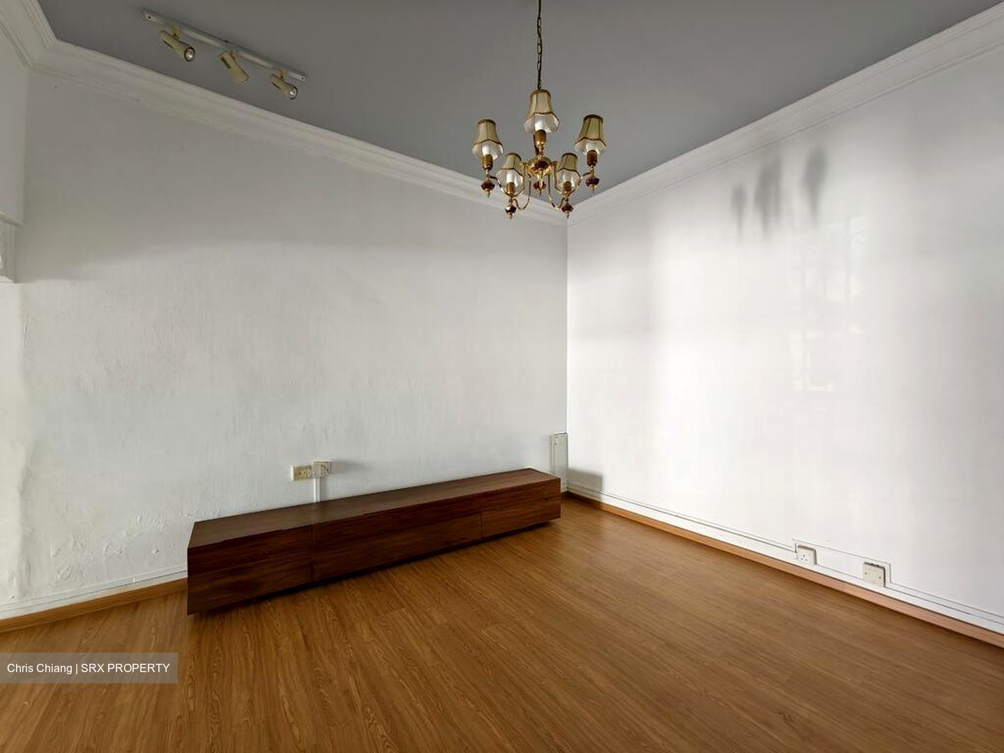 Serangoon Garden Estate (D19), Semi-Detached #639520261